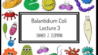 4 Balantidium Coli [upl. by Nnainot818]