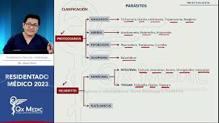 RM 2023 Infecto 1 PARÁSITOS PROTOZOARIOS Giardia Leishmania Trypanosoma Naegleria acantamoeba [upl. by Ymassej]