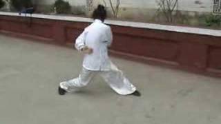 a kung fu masters amazing exercise [upl. by Aelc]