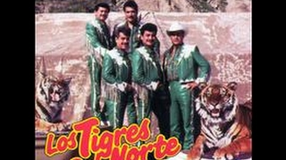 Tigres del Norte Homenaje a los Migrantes [upl. by Jami]