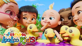 Cinco Patitos  TODOS LOS PATITOS y muchas más canciones infantiles  LooLoo looloo kids español [upl. by Ketchum]