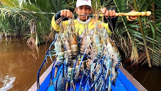 Mancing udang galah dengan 2 jenis umpan Luar biasa mantap hasilnya [upl. by Soelch]