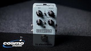 TC Electronic Quintessence Harmonizer Quickview  Cosmo Music [upl. by Iruam]