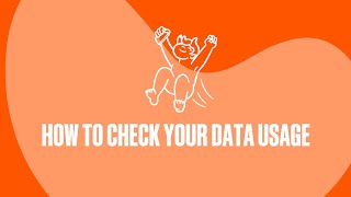 How To Check Your Data Usage  A Help Guide [upl. by Benjie154]