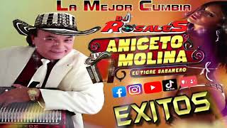 CUMBIAS ANICETO MOLINA [upl. by Atiner]