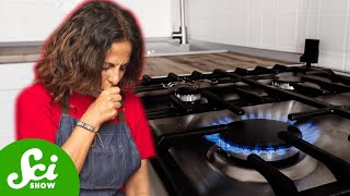 Should You Worry About Your Gas Stove [upl. by Zeuqcaj944]