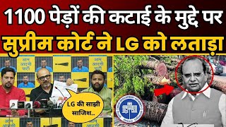 Delhi में 1100 पेड़ों की कटाई के मुद्दे पर Supreme Court ने LG को लताड़ा  Dilip Pandey  Sanjeev Jha [upl. by Rubenstein89]