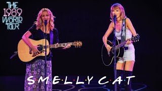 Taylor Swift amp Lisa Kudrow  Smelly Cat Live on The 1989 World Tour [upl. by Dimphia]