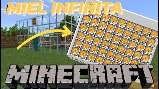 Como hacer una GRANJA DE MIEL AUTOMÁTICA en MINECRAFT EXPERIMENTOS [upl. by Pauwles]