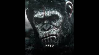 DAWN OF THE PLANET OF THE APES EDIT  quotGOquot  CAESAR APES dawnoftheplanetoftheapes j6ffedit [upl. by Eceirahs]