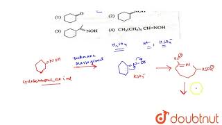 Caprolactam a starting material for the manufacture of nylon 6 is prepared by sulhpuric acid [upl. by Annovaj]