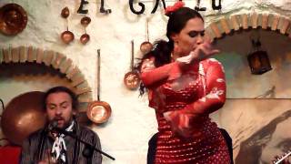 Sacromonte Flamenco in Granada [upl. by Ednalrim323]