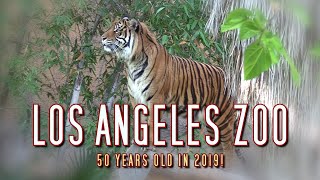 Los Angeles Zoo  50 Years Old in 2019 [upl. by Arakaj299]