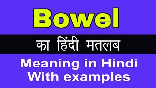 Bowel Meaning in HindiBowel का अर्थ या मतलब क्या होता है [upl. by Durham]