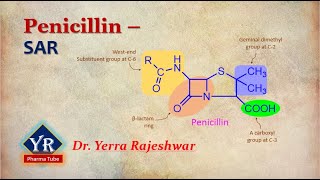 Penicillins  SAR  SAR of Penicillins  Penicillins SAR  YR Pharma Tube  Dr Yerra Rajeshwar [upl. by Ed364]