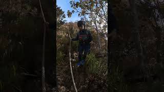 Swine Hill  Kundasang shortvideo hikeadventure hiking [upl. by Euqinimod931]