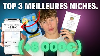 Les 3 MEILLEURES NICHES TIKTOK pour faire 8000€mois [upl. by Yensehc478]