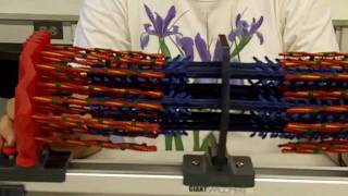 Sliding Filament Sarcomere [upl. by Urban]