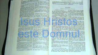 17  ESTERA  Vechiul Testament  Biblia Audio Romana [upl. by Power]