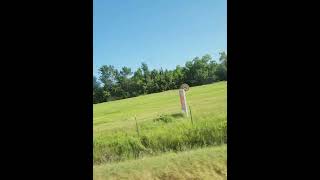 Maybe The Farmer Is Waiting To Sell His Hay hayfields farmer shortsviral [upl. by Cralg297]