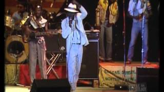 Eek A Mouse Live At Reggae Sunsplash 1982 PART 2 [upl. by Azaleah]