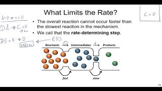 Chemical Kinetics Lecture on Reaction Mechanisms Molecularity and Catalysts [upl. by Otter186]