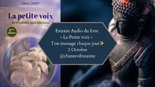 La petite voix  2 octobre ✨ Message conseil du jour amp méditation  Extrait audio du livre [upl. by Ammon]