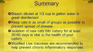 Prevent Deadly Viruses in Your Cattery  Part 4 [upl. by Shamrao207]