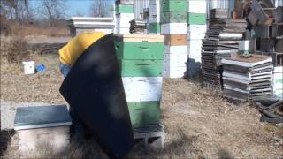 Beekeeping How To Wrap Your Bee Hive For Winter [upl. by Daza]