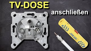 Antennendose anschließen einfach erklärt  Die perfekte Anleitung um eine TV Dose zu installieren [upl. by Ahtabat]