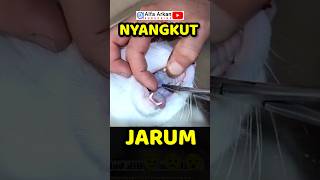 Kucing nyangkut jarum doain biar lancar [upl. by Bartley]