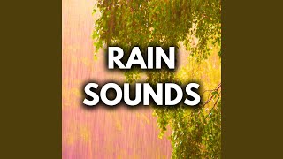 Rainfall Asmr For Sleeping [upl. by Eetnuahs]