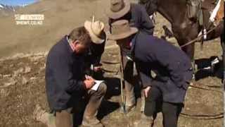 3 News Campbell Live Spring muster on NZs largest farm  Molesworth Station [upl. by Tris]