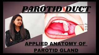 Parotid Duct  Applied Anatomy of Parotid Gland  Dr Ruchita Patil [upl. by Wailoo585]