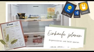 Einkäufe planen I Wochenplan organisieren I Geld sparen [upl. by Skiest970]