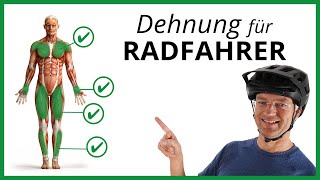 Die 4 BESTEN DEHNÜBUNGEN für Radfahrer Unbedingt beachten [upl. by Renita]