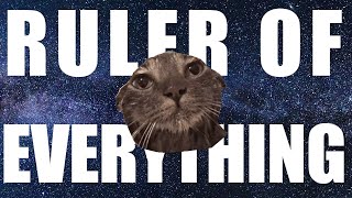 Tally Hall  Ruler of Everything  The Cat Edition [upl. by Berni]