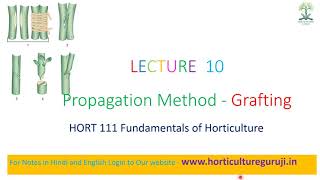 HORT111  Lecture 10 Grafting  ग्राफटिंग [upl. by Ackley]