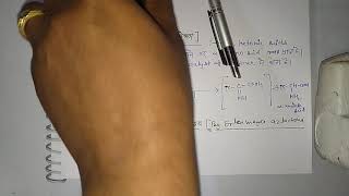 BSc 3year synthesis of Alfa amino acids by koops amp erlenmeyer azlactone synthesis [upl. by Enitsrik]