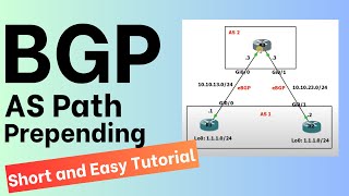 How to Configure BGP AS Path Prepending Short amp Easy Tutorial [upl. by Anattar]