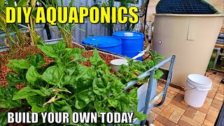 Complete DIY Aquaponics System Build  Fish Tank Filters Dual Root Zone amp Media Beds [upl. by Ranchod267]