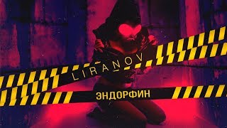 LIRANOV  Эндорфин Lyric Video [upl. by Rochette]