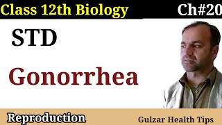 Gonorrhea class 12 Biology  STD  Sexual transmitted Diseases [upl. by Shel]