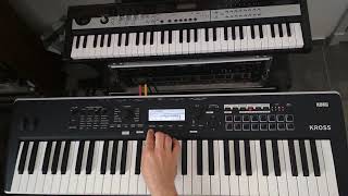 Sampling on KORG Kross 2 details in the description [upl. by Patsis]