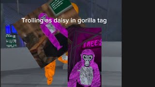 Trolling as daisy 09 in gorilla tag [upl. by Alolomo]