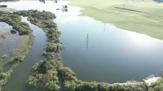 Wallersee Drohne Hochwasser Ablauf 18 9 2024 [upl. by Ennahoj]