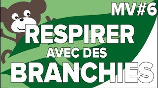 Respirer avec des Branchies MV 6SVT CollègeMathrix [upl. by Yerd]