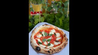 How to make the Perfect Neapolitan Pizza at Home [upl. by Ennybor434]