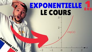 La fonction exponentielle en 5 minutes  Spé maths  Première [upl. by Madelaine857]