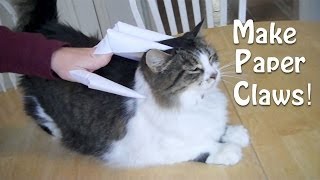 Paper Claws  Finger knives Cats love these [upl. by Nnuahs]